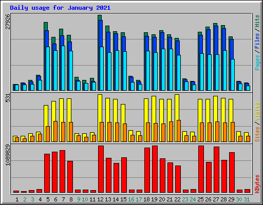 Daily usage for January 2021