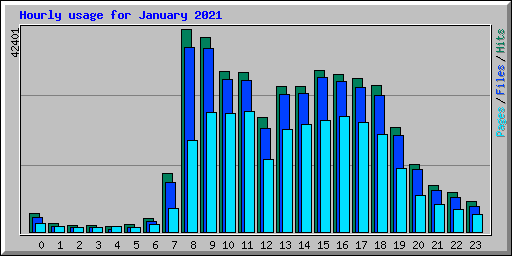 Hourly usage for January 2021