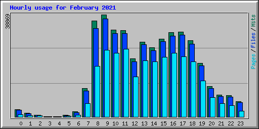 Hourly usage for February 2021